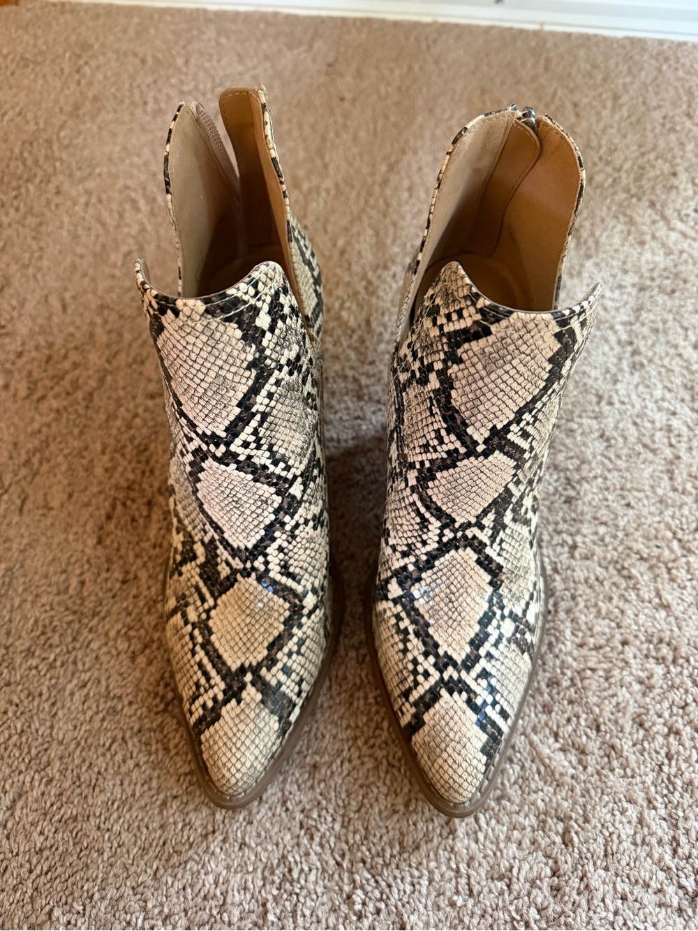 Abound Snake-Print Pointed Ankle Boots - Black & Cream